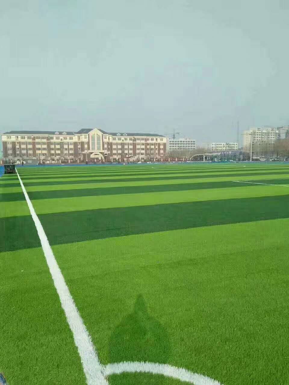 揭阳市塑胶跑道材料仿真草坪 - 推荐